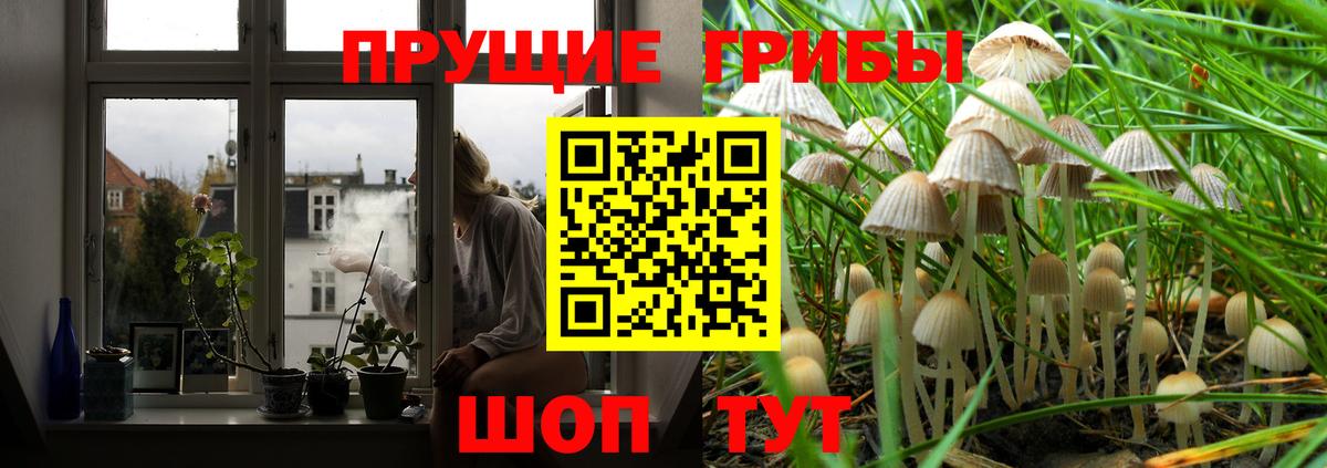 Псилоцибиновые грибы Magic Shrooms  хочу   Кандалакша  Вход с VPN 